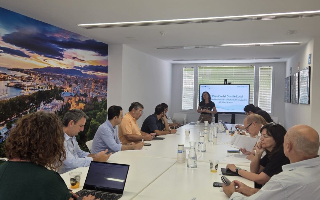 SEGUNDA REUNIÓN DEL GRUPO LOCAL ReMED
