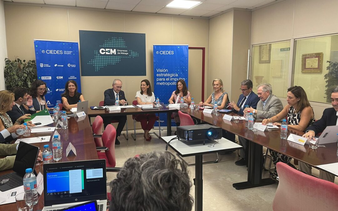 EL PATRONATO DE CIEDES REVISA EL ESTADO DEL PLAN DE ACTUACIÓN 2025 Y APRUEBA LAS CUENTAS ANUALES Y LA MEMORIA DE ACTIVIDADES 2024